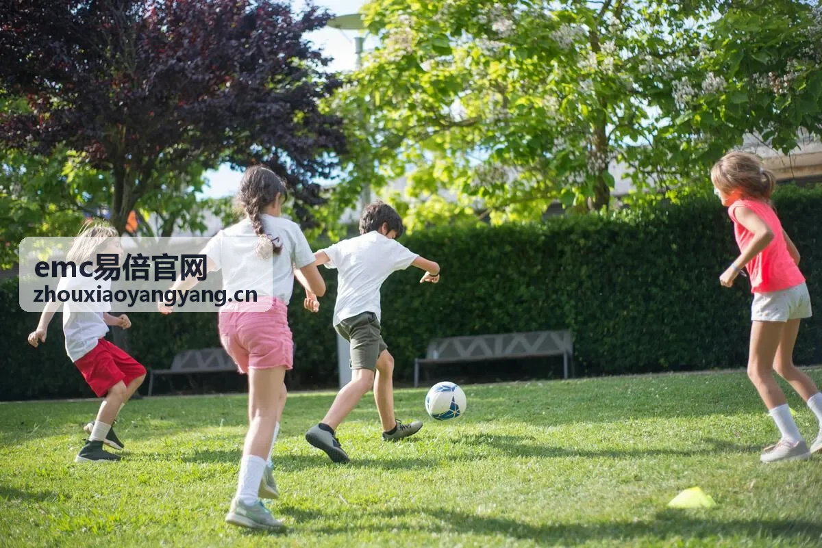 emc易倍官网 限时活动福利