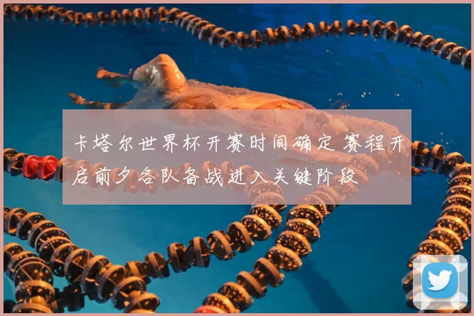 卡塔尔世界杯开赛时间确定 赛程开启前夕各队备战进入关键阶段